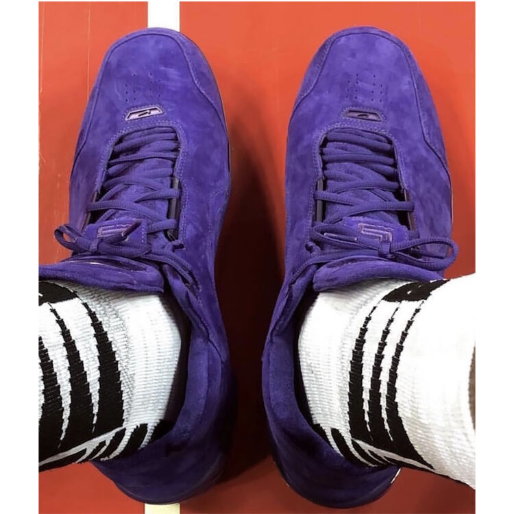 LeBron James in the nike salon shox monster metal id "Court Purple"