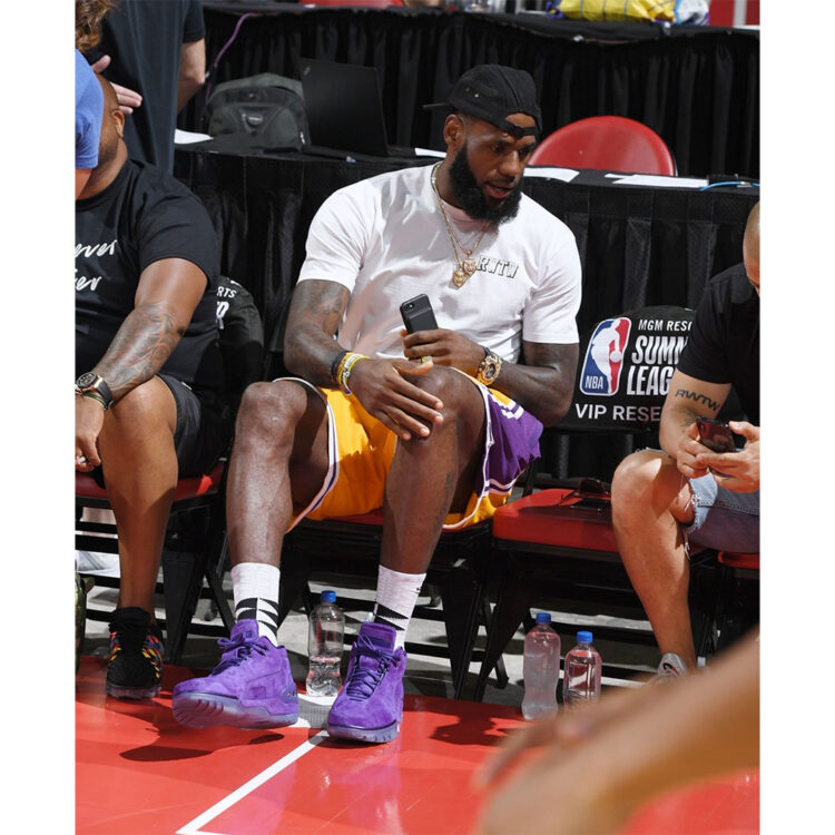 LeBron James in the nike salon shox monster metal id "Court Purple"