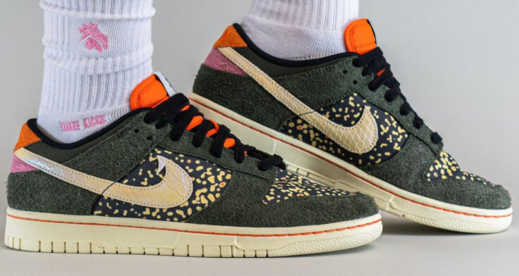 Nike Dunk Low “Rainbow Trout” FN7523-300