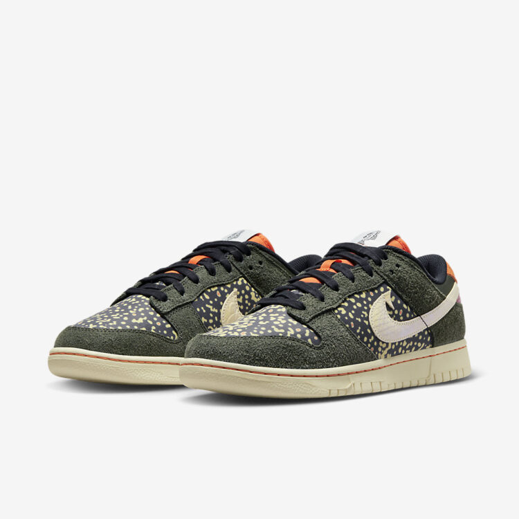 Nike Dunk Low "Rainbow Trout" FN7523-300