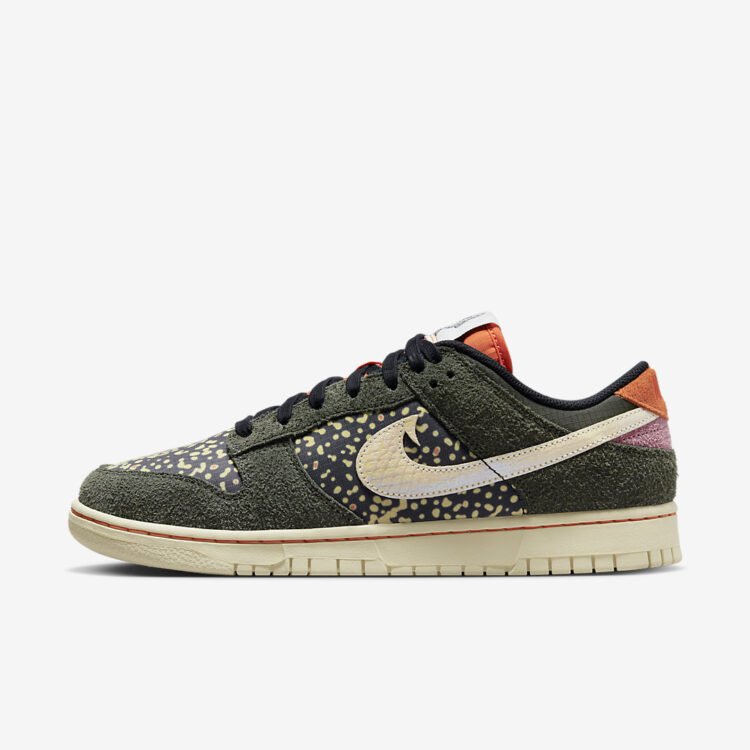 Nike Dunk Low "Rainbow Trout" FN7523-300