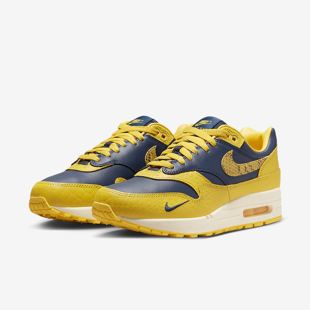 Nike Air Max 1 PRM CO.JP FJ5479-410