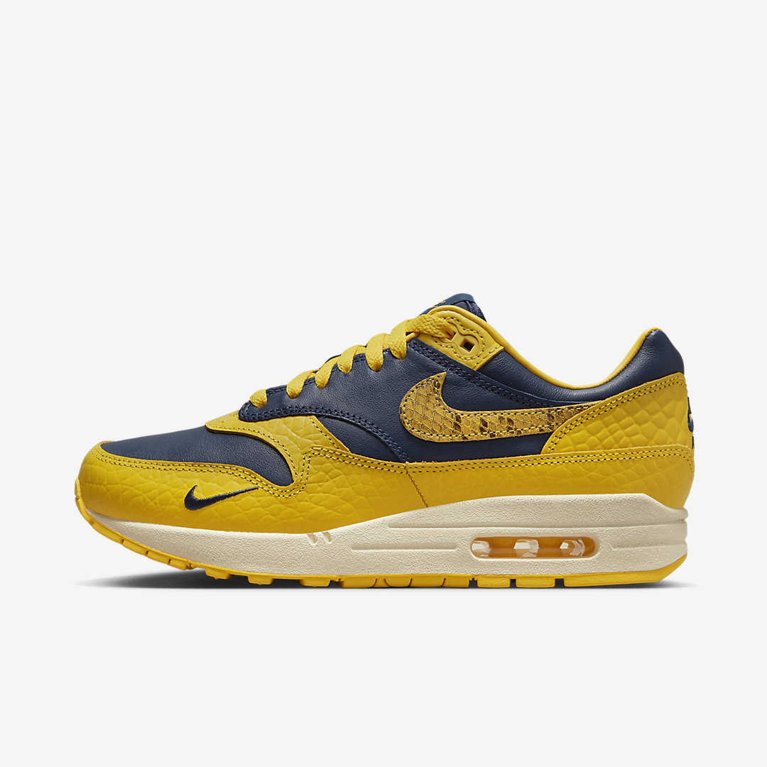 Nike Air Max 1 PRM CO.JP FJ5479-410