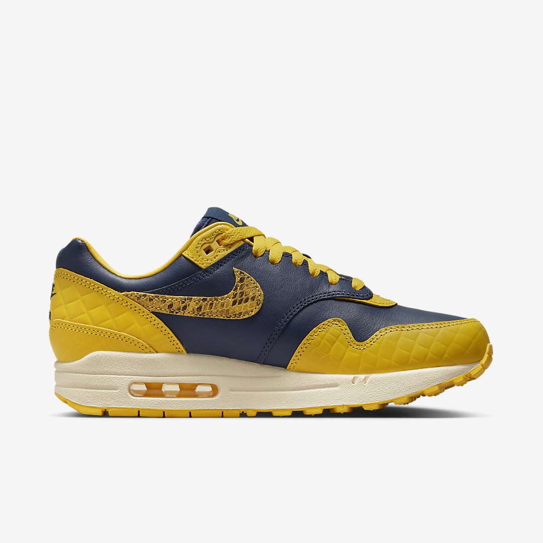 Nike Air Max 1 PRM CO.JP FJ5479-410