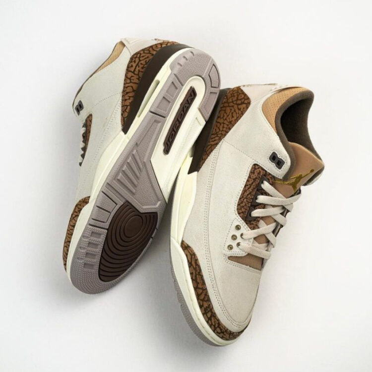 Air Jordan 3 "Palomino" CT8532-102