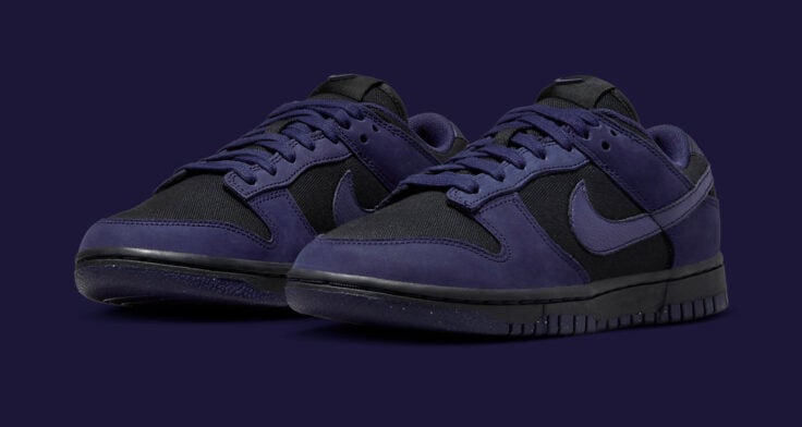 Nike Dunk Low WMNS "Puple Ink" FB7720-001