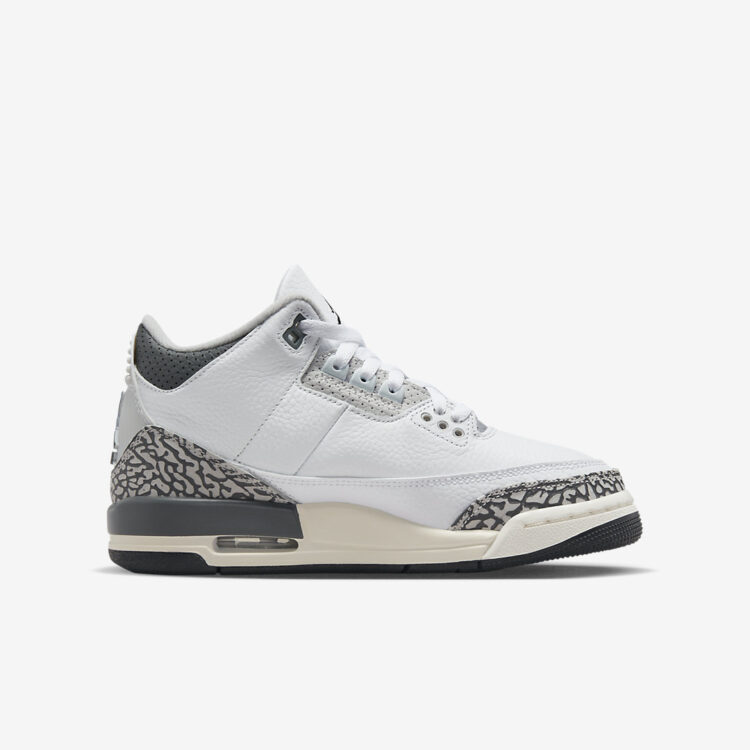 Air Jordan 3 GS "Hide N' Sneak" DX6665-100