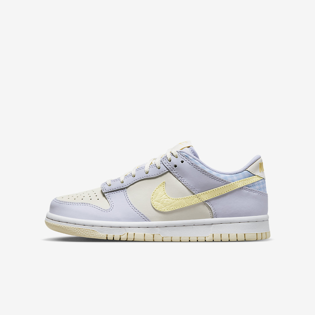 Nike Dunk Low GS FJ4641-536