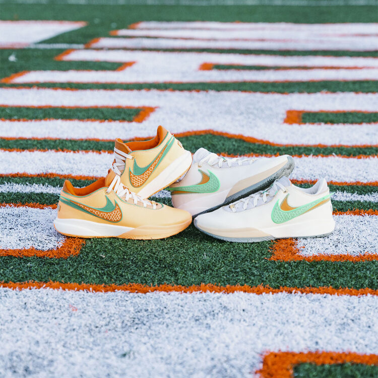 APB x FAMU x Nike LeBron 20 Pack