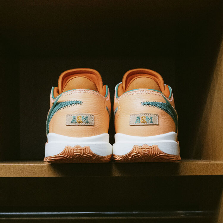 APB x FAMU x clearance Nike LeBron 20 Pack