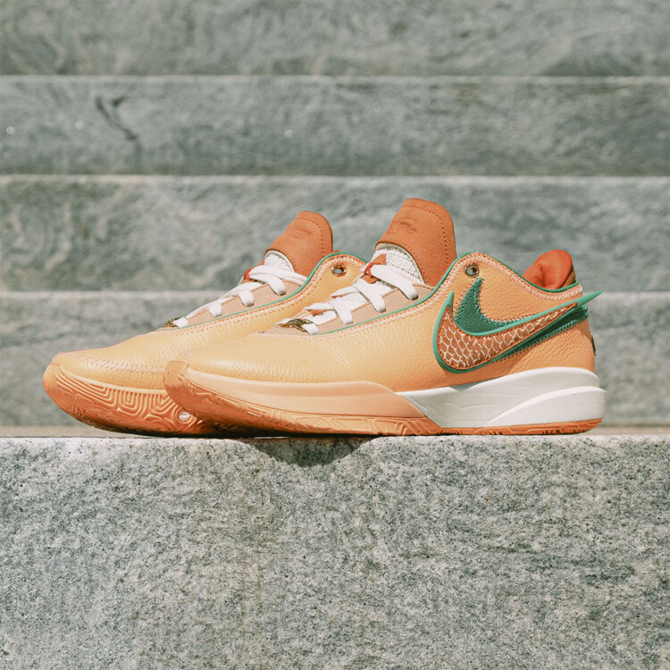 APB x FAMU x clearance Nike LeBron 20 Pack