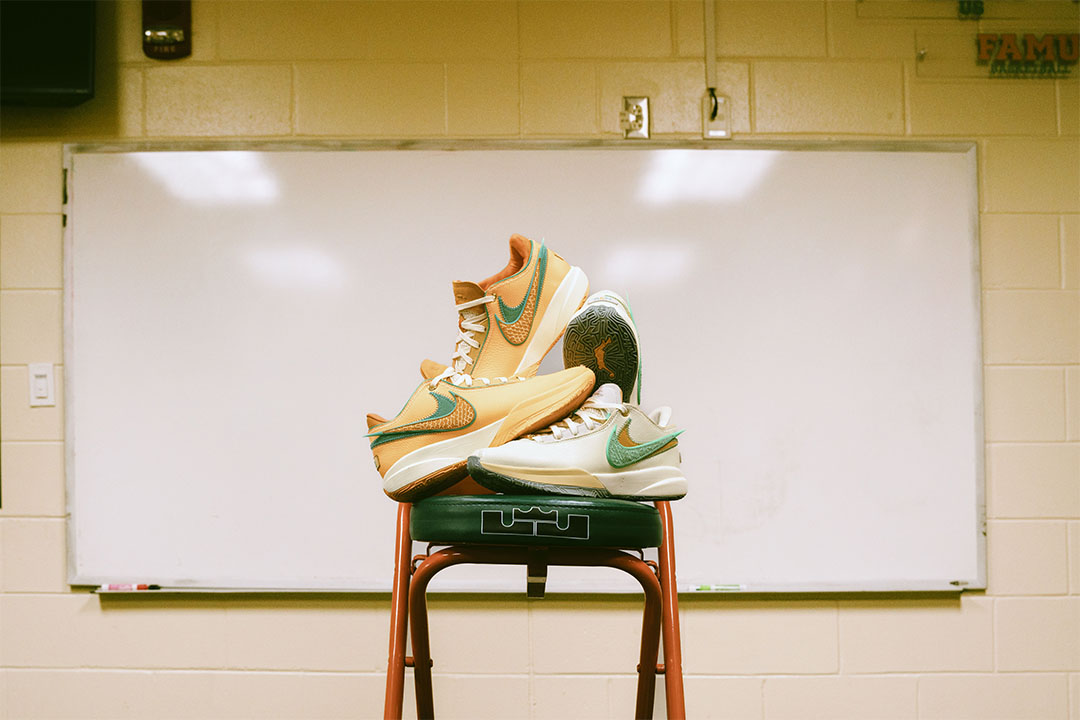 APB x FAMU x clearance Nike LeBron 20 Pack