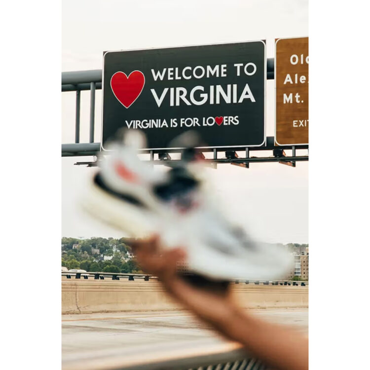 DTLR x New Balance 2002R "Virginia Is For Lovers"