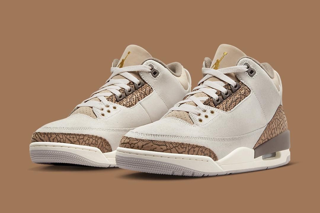 Buy Air Jordan 3 Retro 'Palomino' - CT8532 102