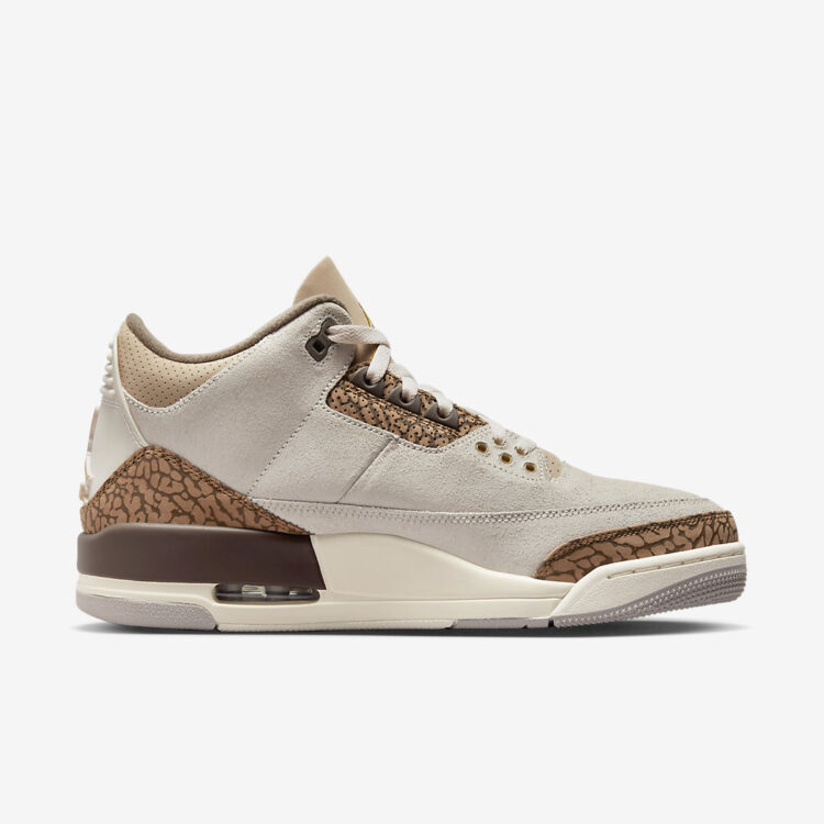 Air Jordan 3 "Palomino" CT8532-102