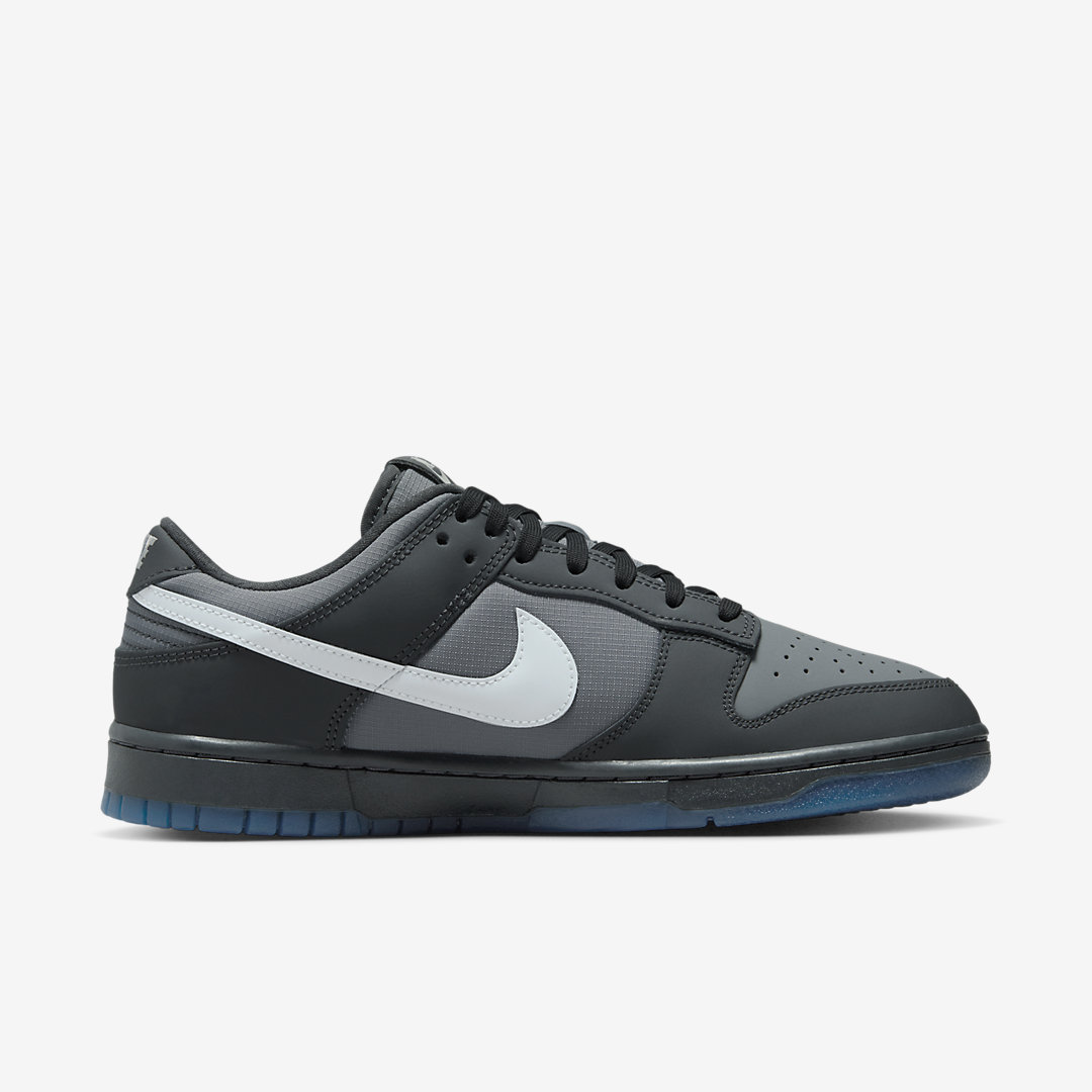 Nike Dunk Low FV0384-001