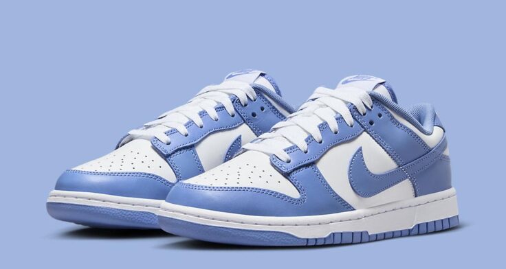 Nike Dunk Low "Polar Blue" DV0833-400