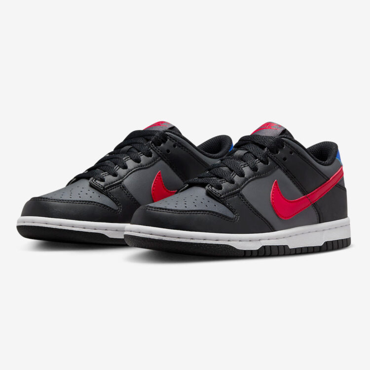 Nike Dunk Low GS Black/Grey FV0373-001