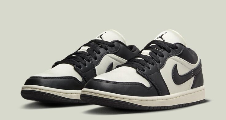 Air Jordan 1 WMNS Low "Vintage Panda" FB9893-101