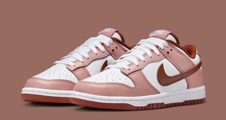 Nike Dunk Low WMNS "Red Stardust" FQ8876-618