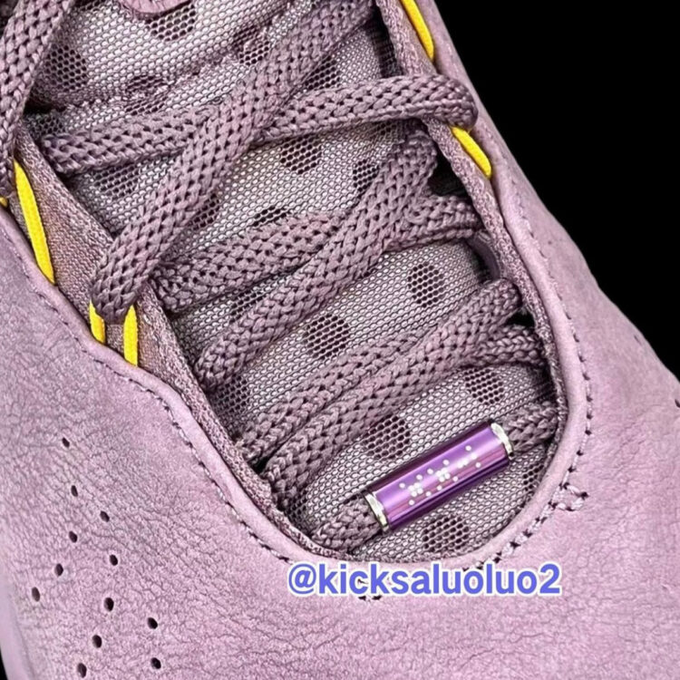 Nike LeBron 21 "Violet Dust" FV2345-500