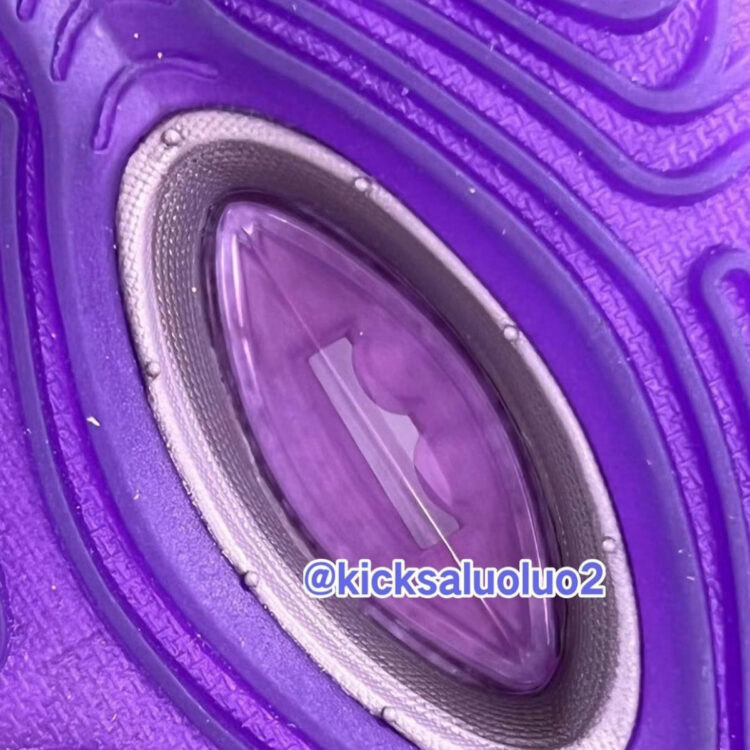 Nike LeBron 21 "Violet Dust" FV2345-500