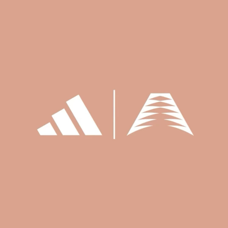 Anthony Edwards' Adidas AE 1 Logo