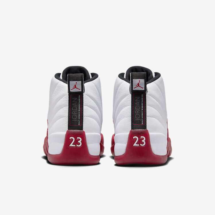 Air Jordan 12 "Cherry" CT8013-116