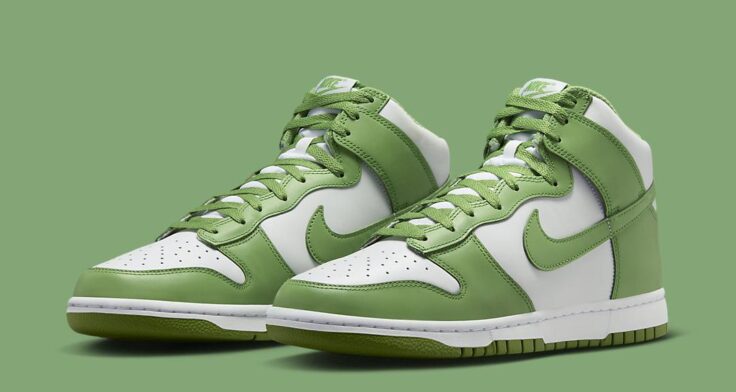 Nike Dunk High "Chlorophyll" DV0829-101