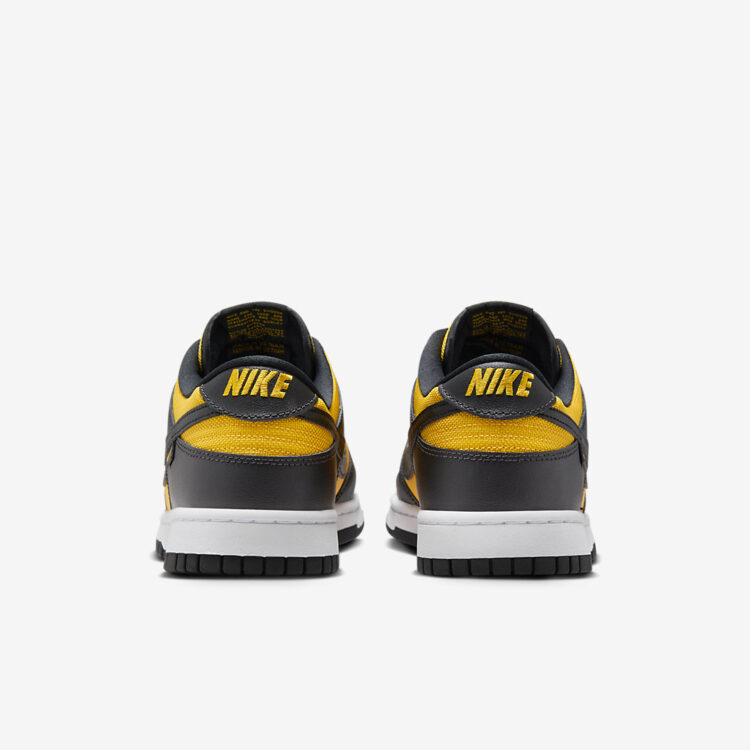 Nike Dunk Low FZ4618-001