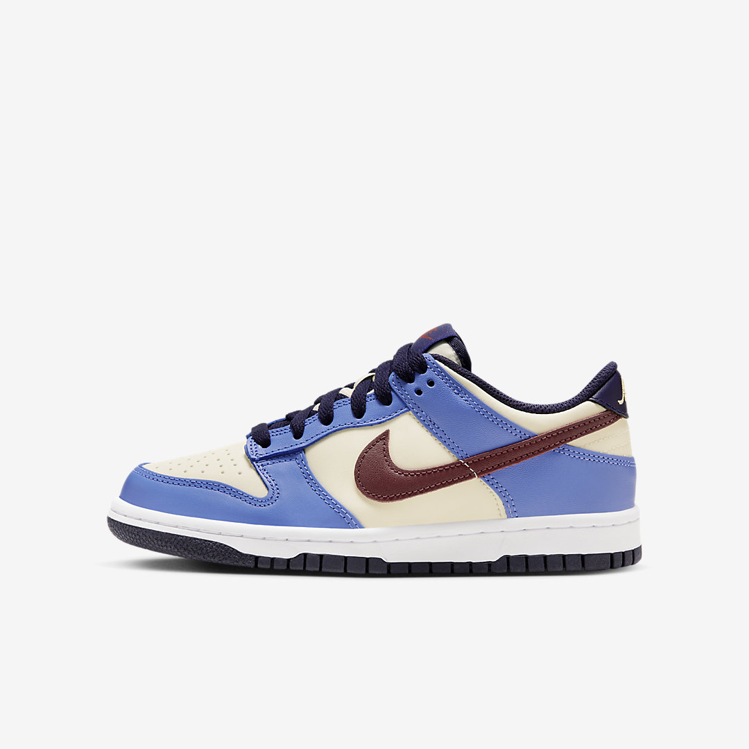 - HQZ Nike Dunk Low GS FV8119-161