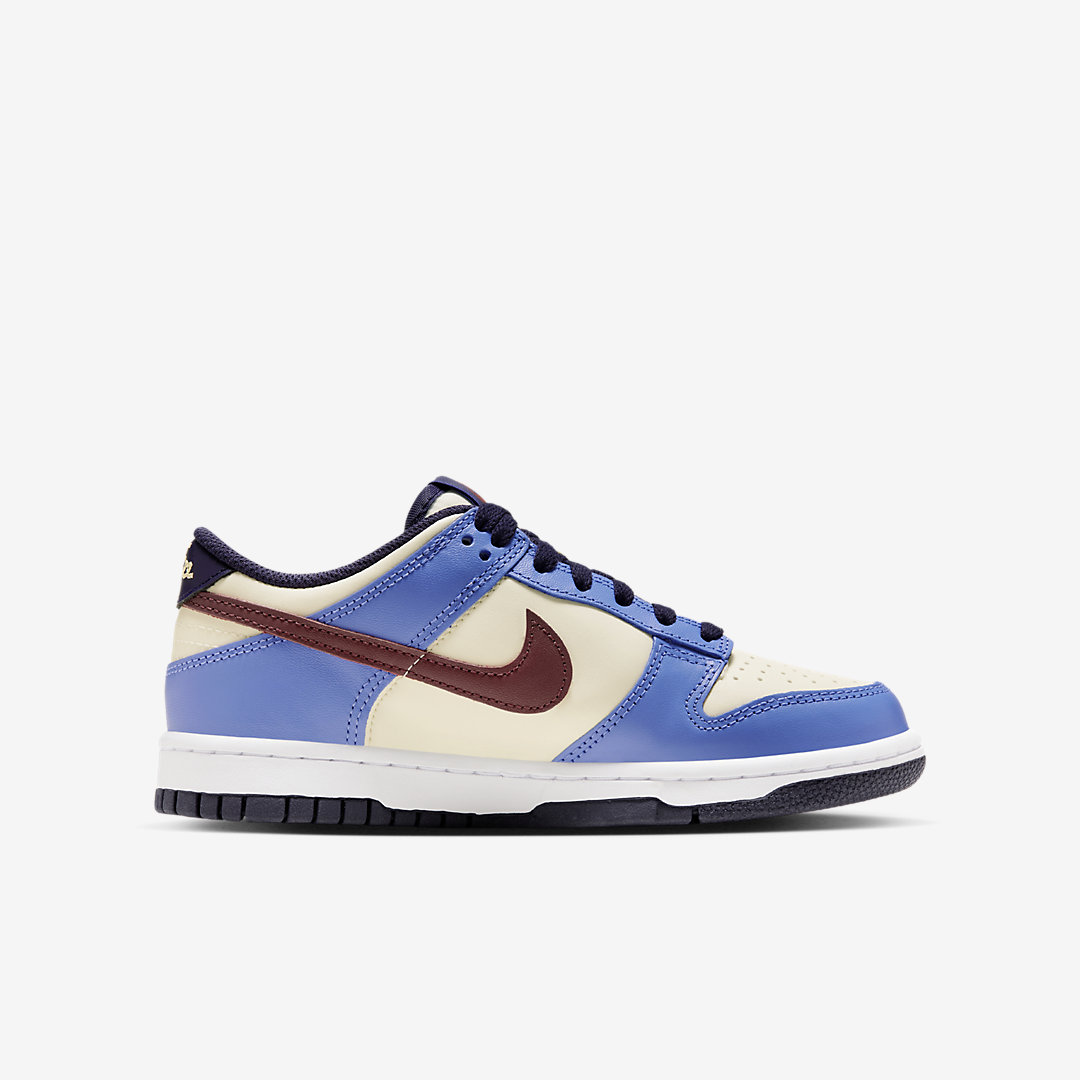- HQZ Nike Dunk Low GS FV8119-161