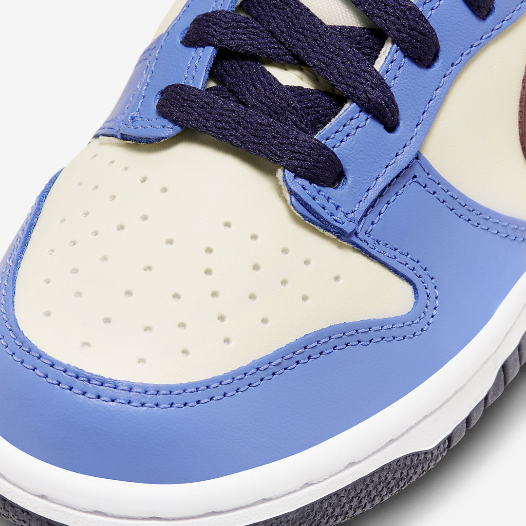 - HQZ Nike Dunk Low GS FV8119-161
