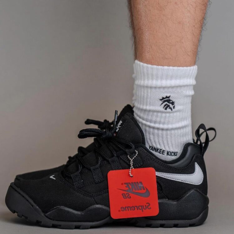 Supreme x Nike SB Darwin Low "Black" FQ3000-001