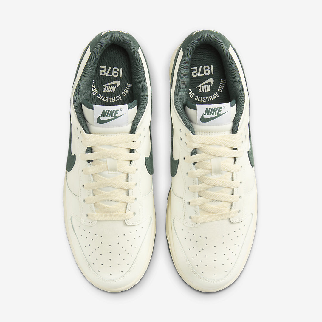 Nike Dunk Low FQ8080-133