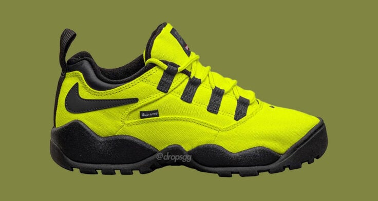 Supreme Nike SB Darwin Low Volt FQ3000 700 Lead 736x392