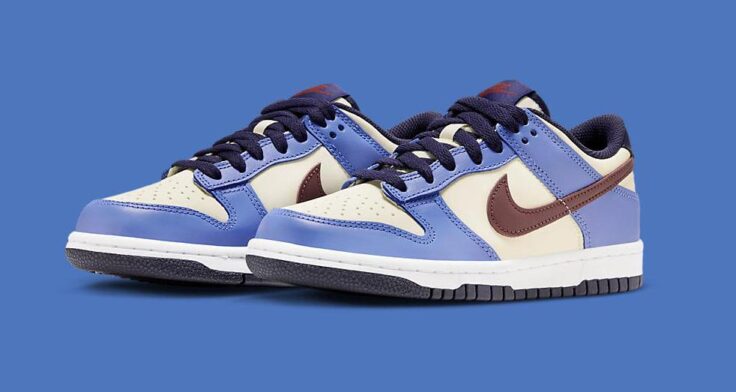 Nike Dunk Low GS "From Nike To You" FV8119-161