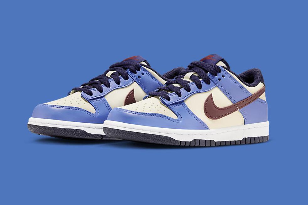 Nike Dunk Low GS "From Nike To You" FV8119-161