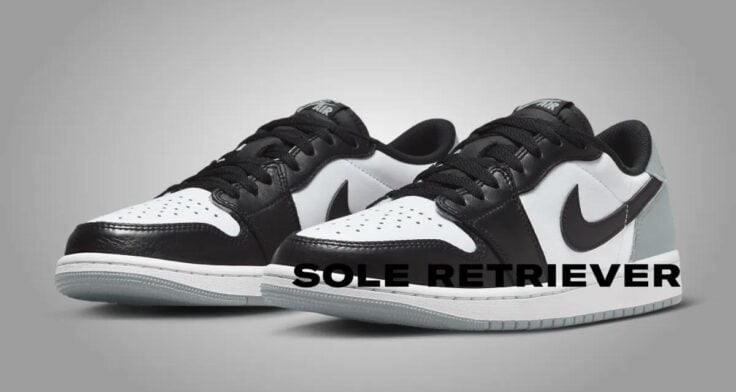 Shoe2dawoo appartient au cercle très fermé des sneakerheads possédant une Air Jordan Low OG "Wolf Grey" CZ0790-110