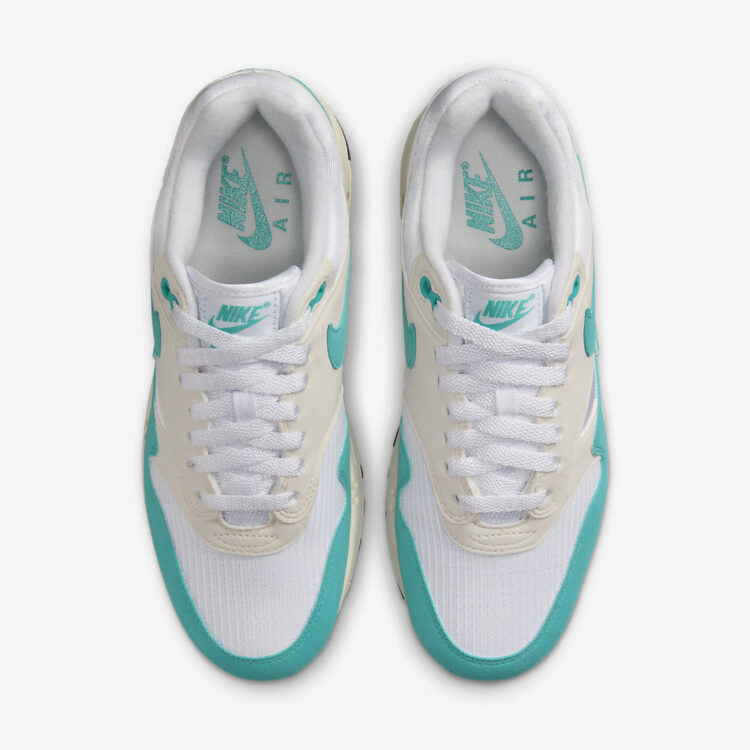 Nike Air Max 1 WMNS "Dusty Cactus" DZ2628-107