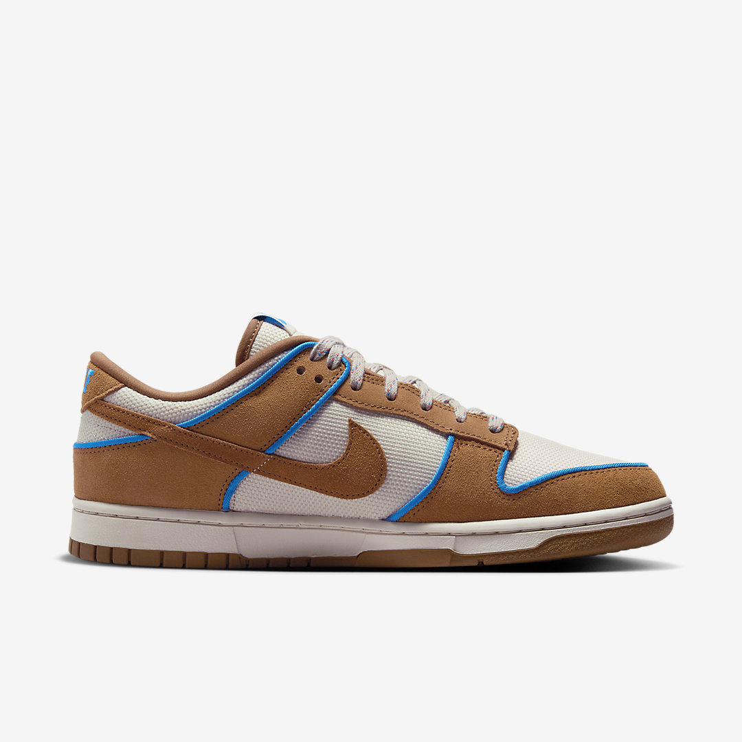 - HQZ Nike Dunk Low FN5825-100