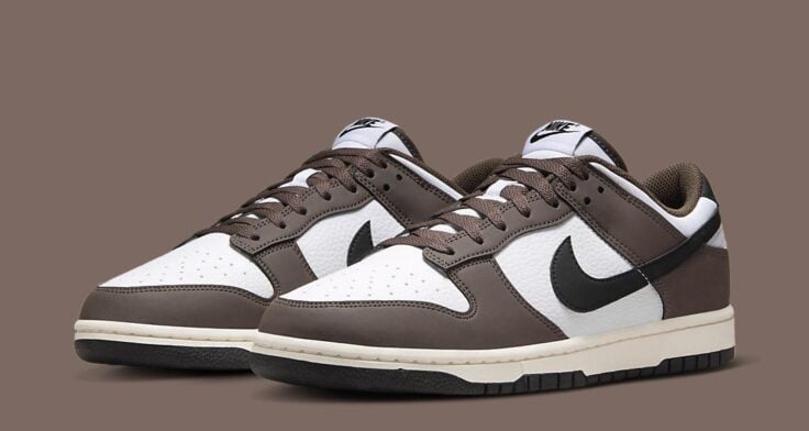 Nike Dunk Low Next Nature Cacao Wow HF4292 200 01 736x392