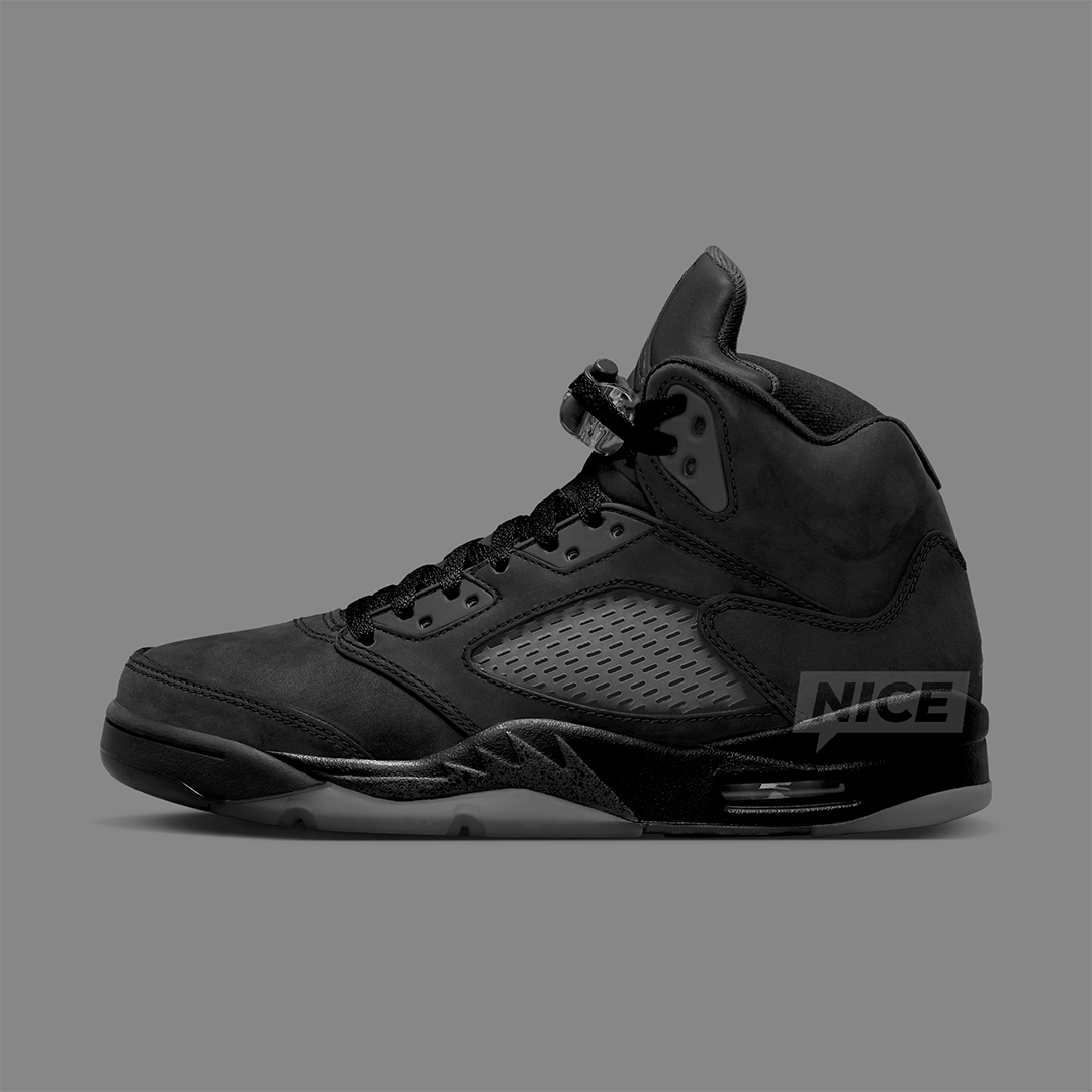 Air chicago Jordan XVIII 18 "Black Cat" FZ2239-001