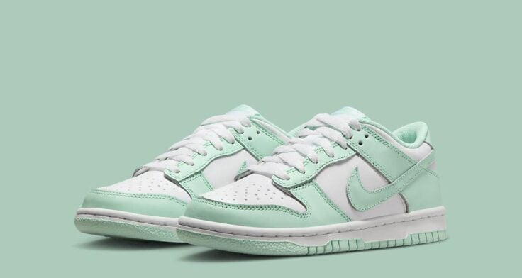 Nike Bright Dunk Low GS FZ3534-100