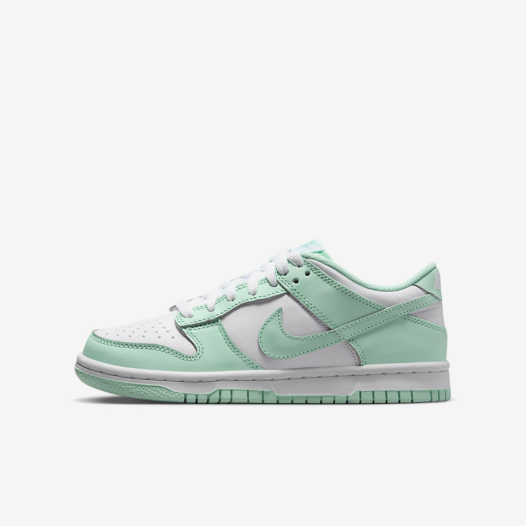 - HQZ Nike Dunk Low GS FZ3534-100