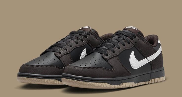 Nike sneakers Dunk Low Next Nature WMNS Velvet Brown HF9984 001 01 736x392