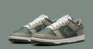 Nike Dunk Low "Urban Landscape 2.0" HF4878-053