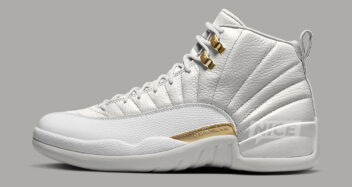 Air Metal Jordan 12 WMNS "Phantom" FD9101-007