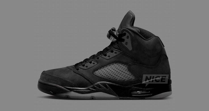 Air Jordan 5 "Black Cat" FZ2239-001