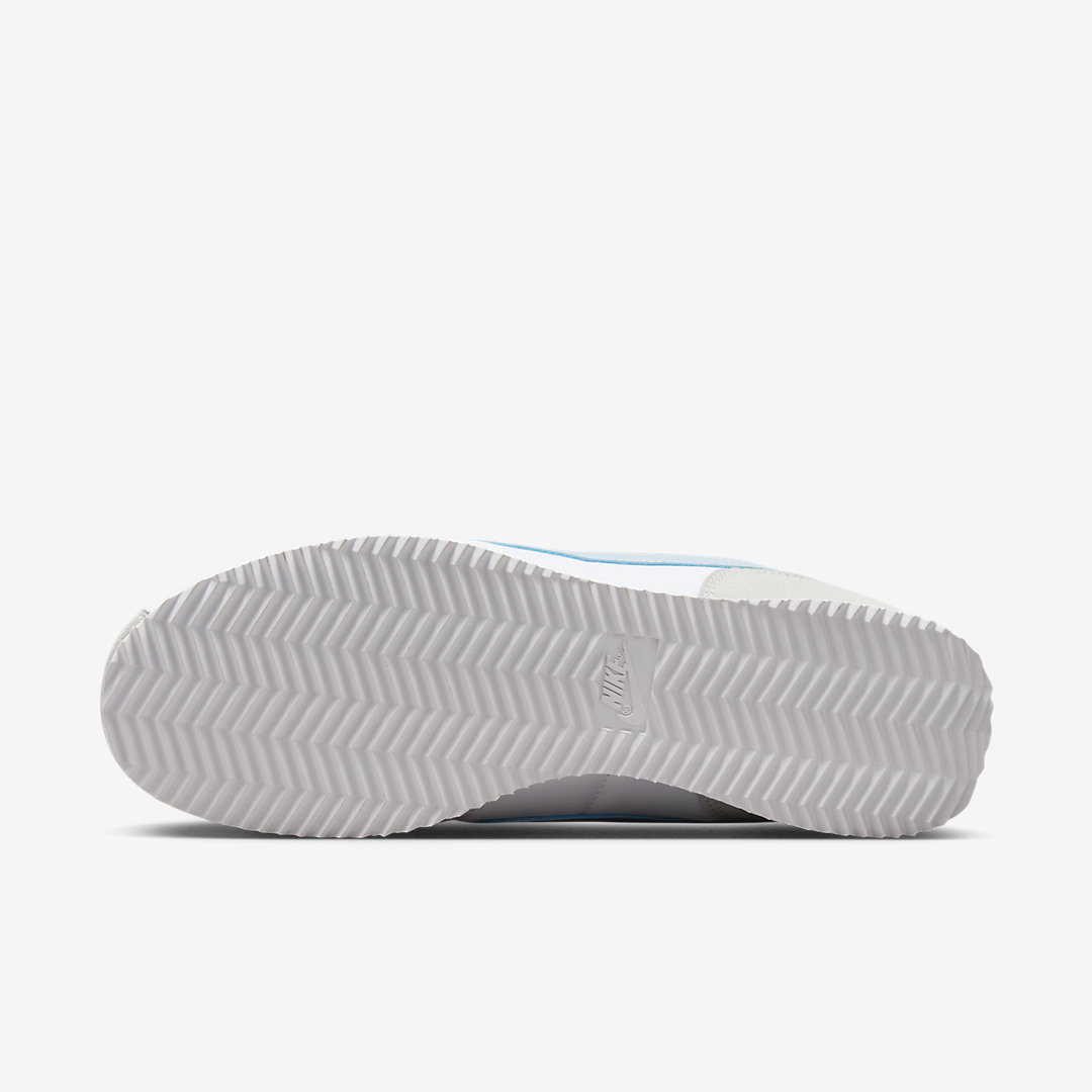 - HQZ Nike Cortez DZ2795-100